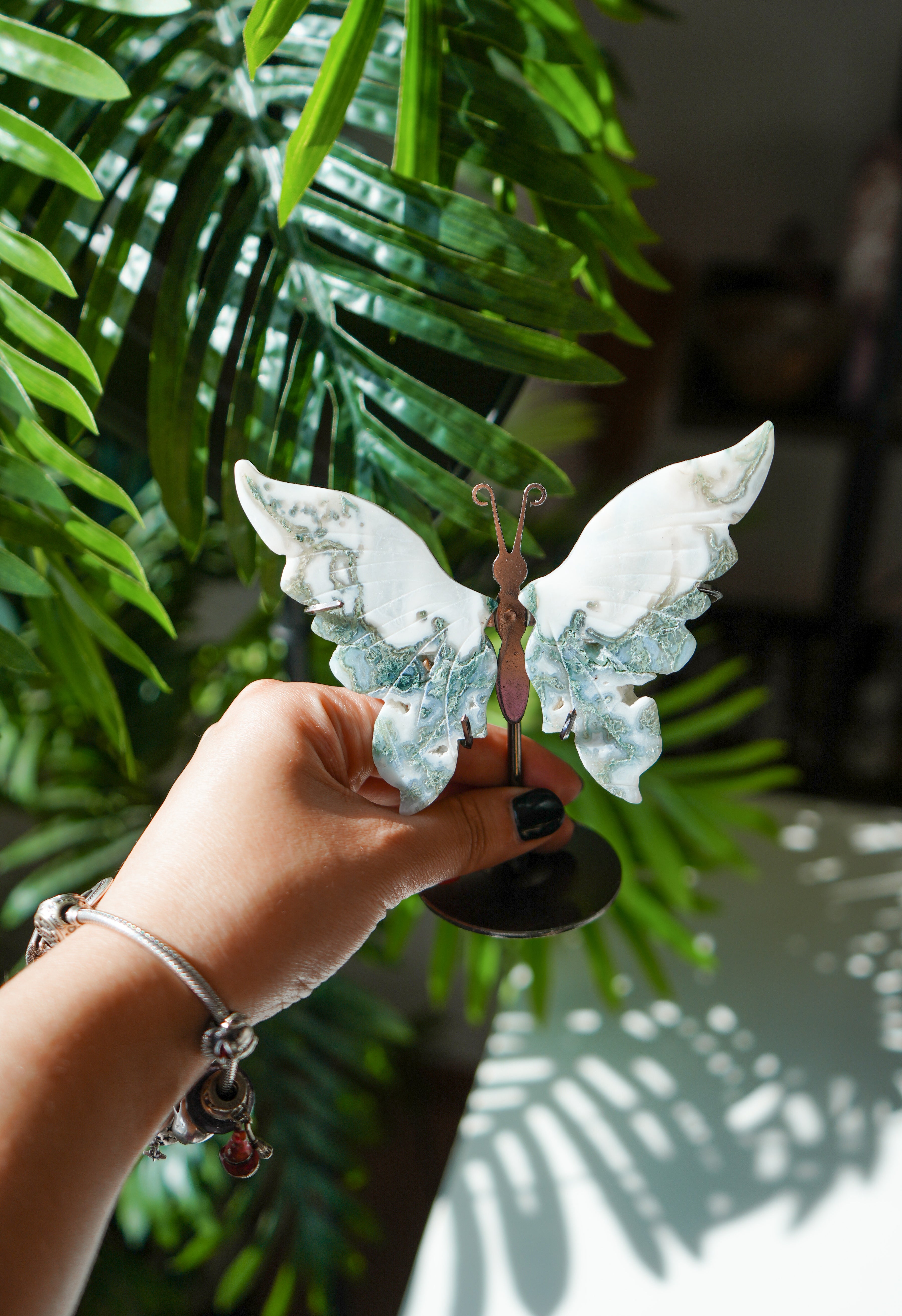 Mariposa de Agata musgo