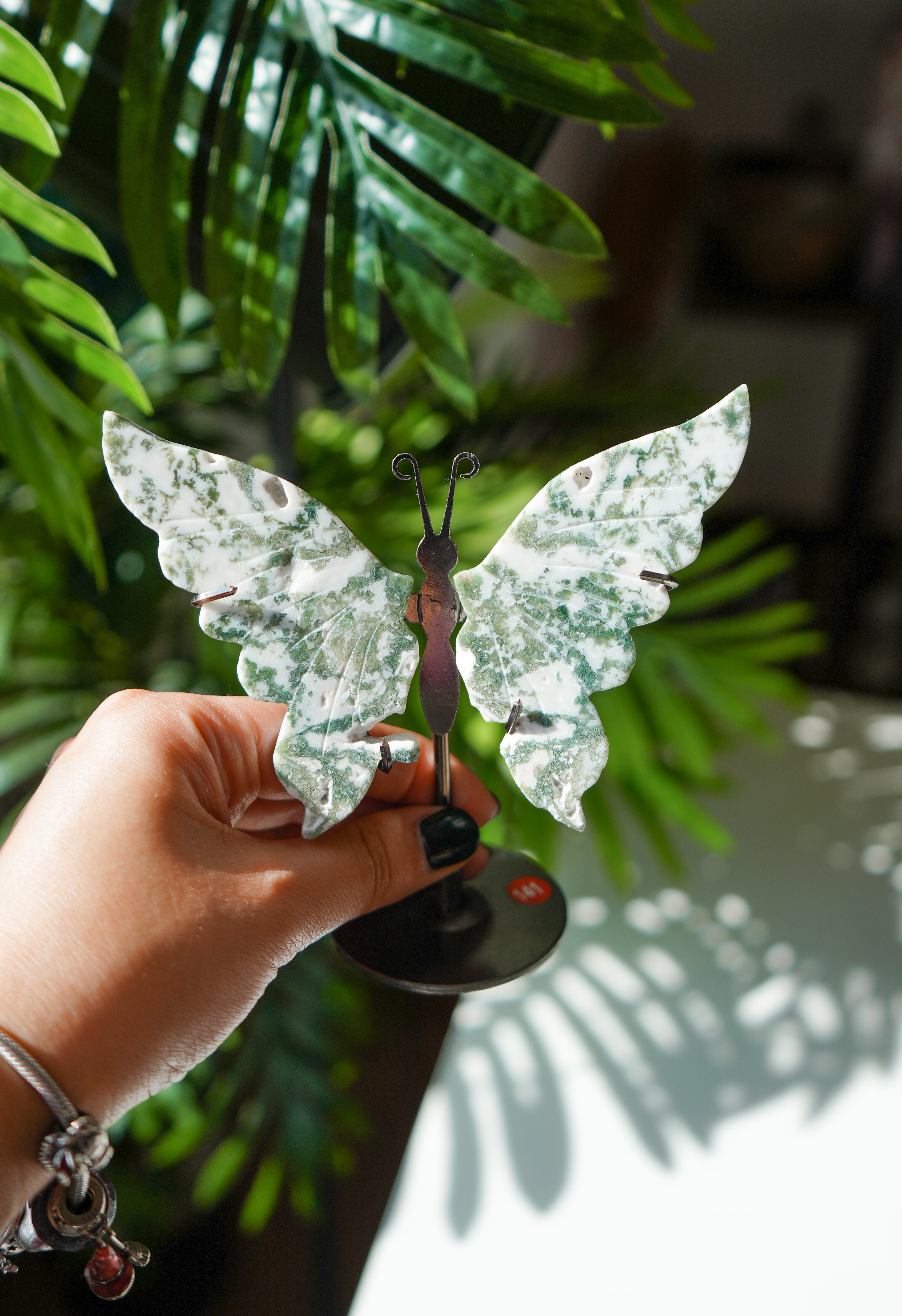 Mariposa de Agata musgo