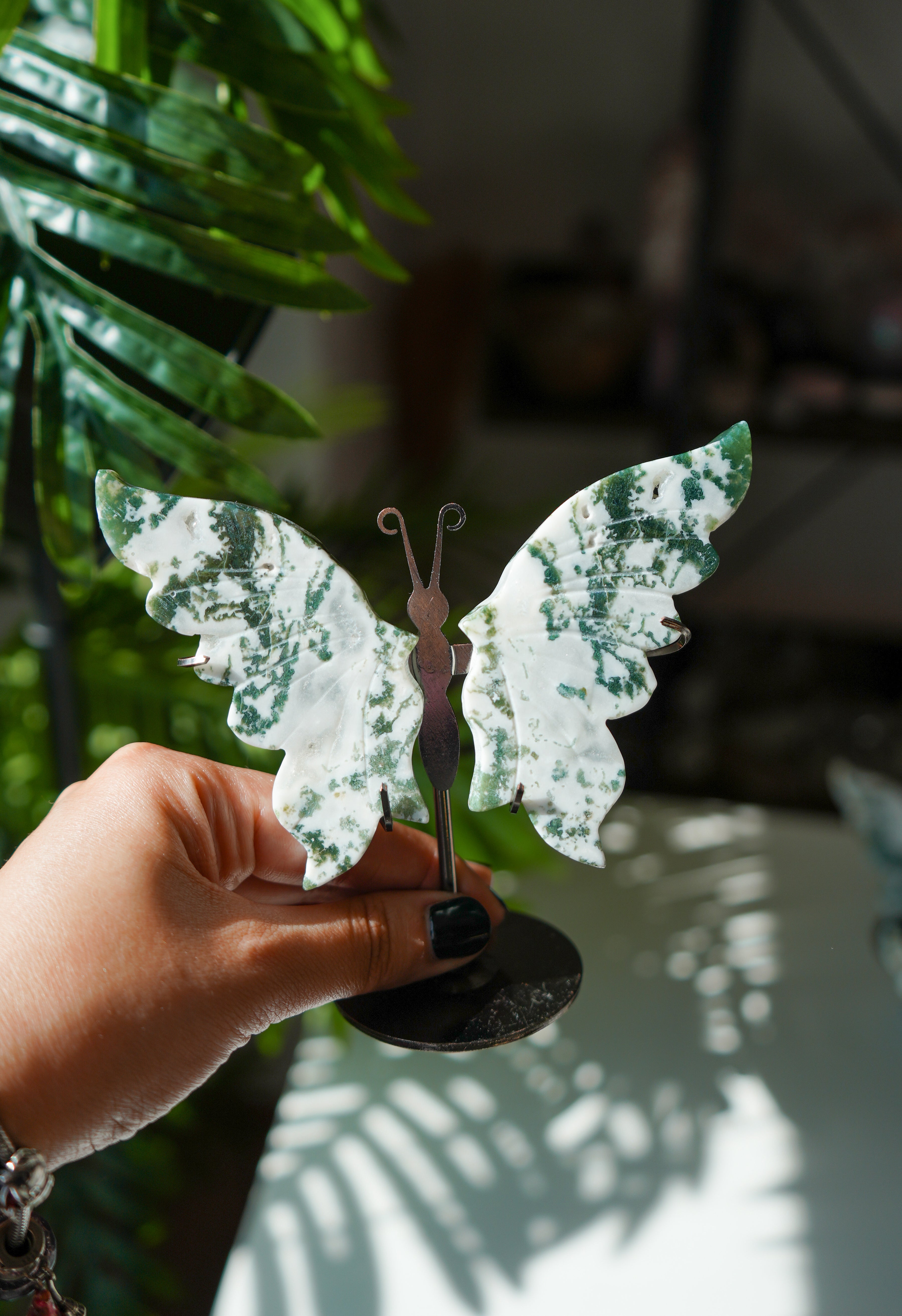 Mariposa de Agata musgo