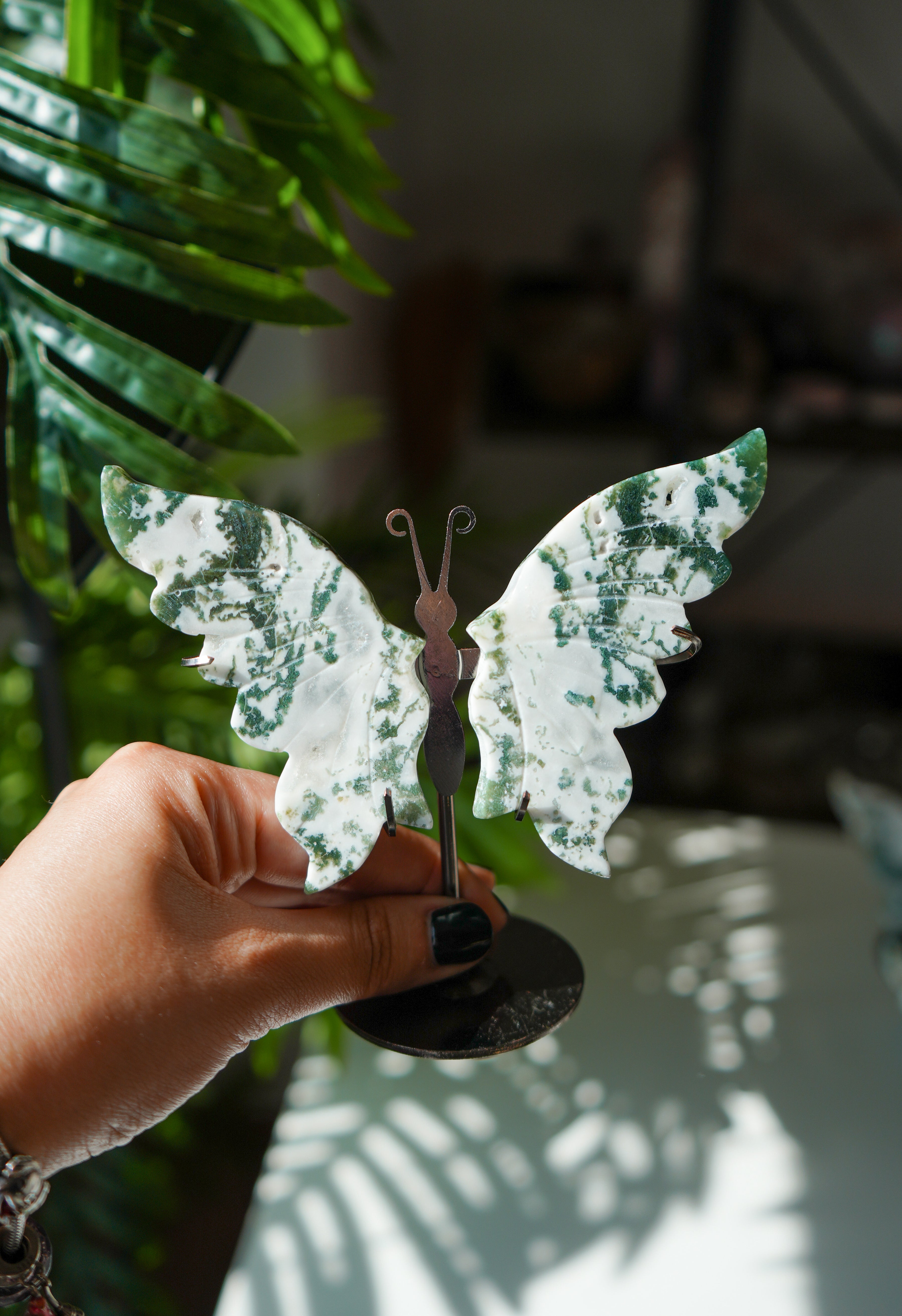 Mariposa de Agata musgo