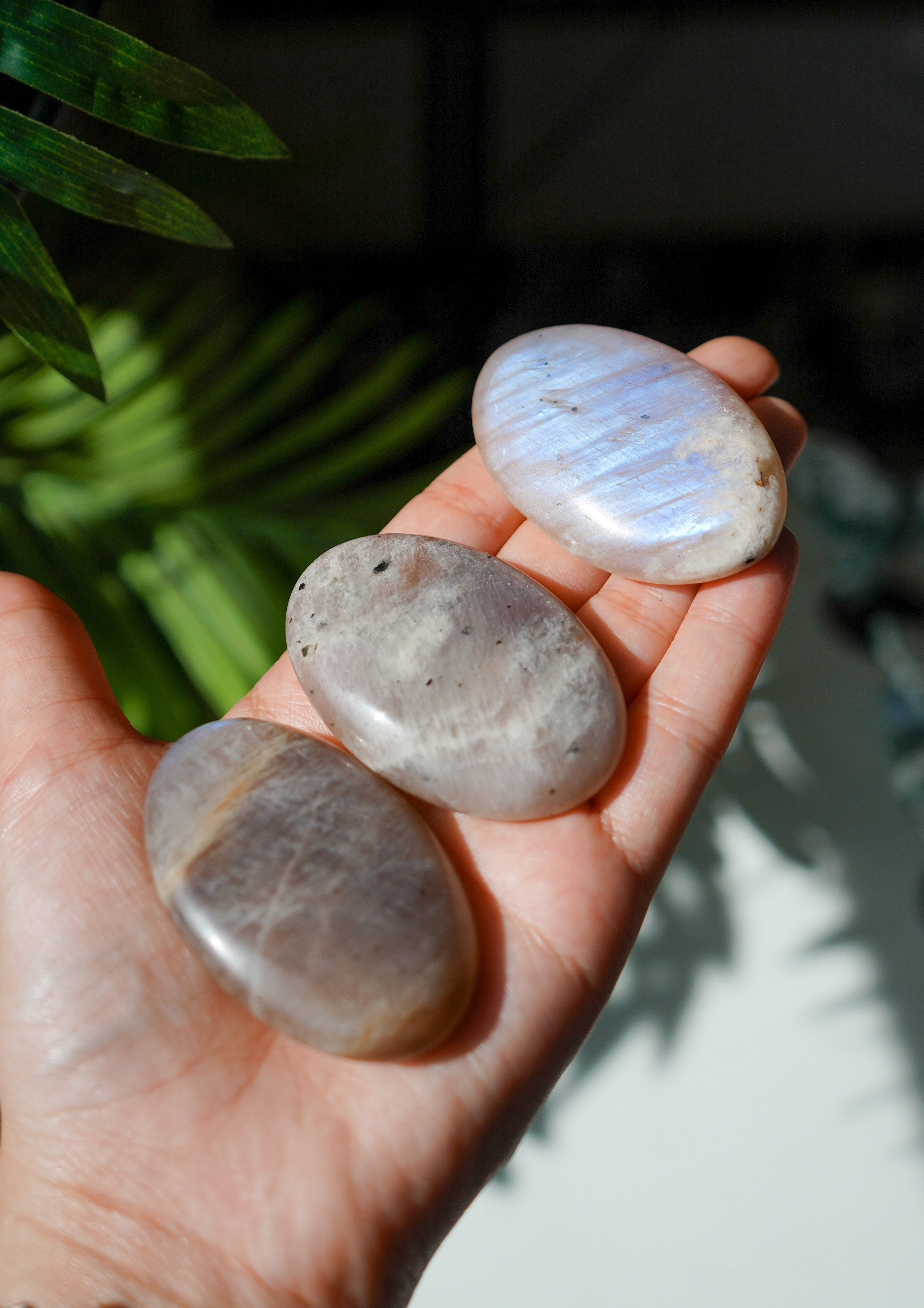 Rodado Plano de Piedra Luna