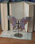 Mariposa jaspe océano