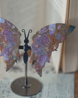 Mariposa jaspe océano
