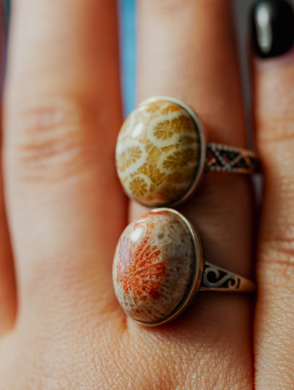 Anillo de Plata Adaptable con Coral Fósil