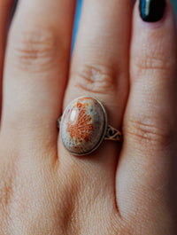 Anillo de Plata Adaptable con Coral Fósil