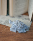 Tortuga ágata