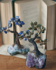 Arbol de serpentina y sodalita