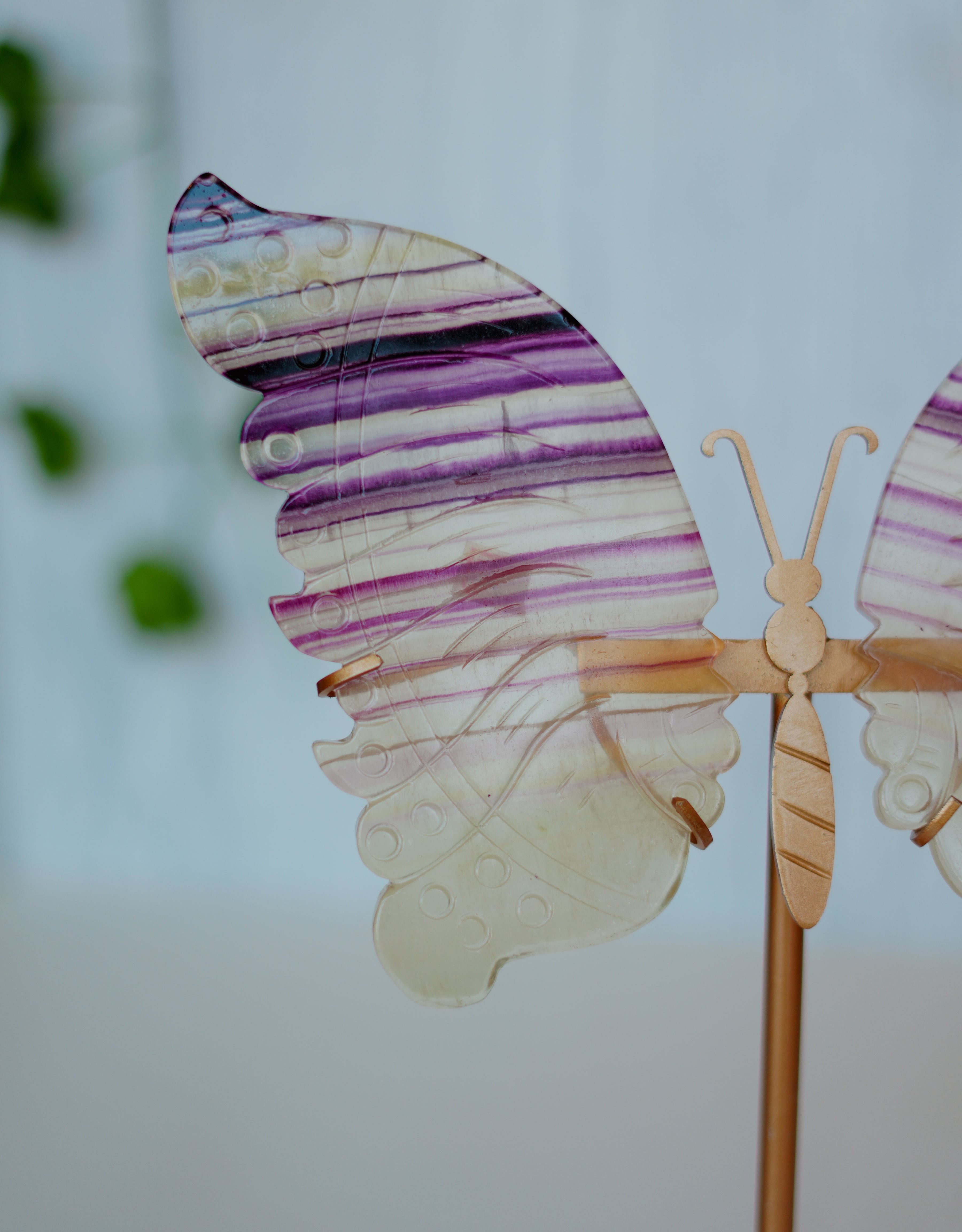 Mariposa de fluorita