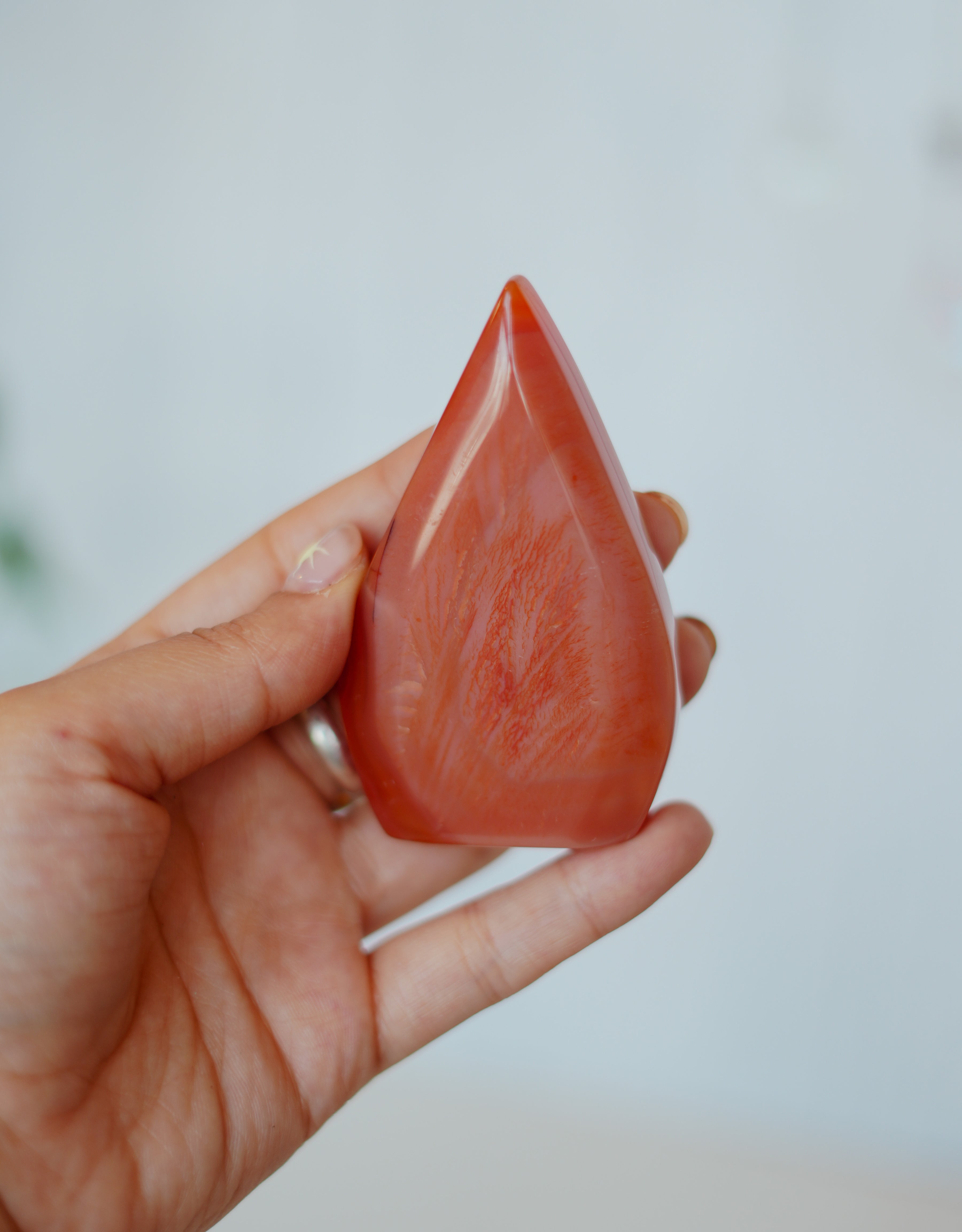 Llama de carneola