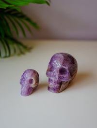 Calavera de Amatista con Ágata | Sabiduría Ancestral y Protección