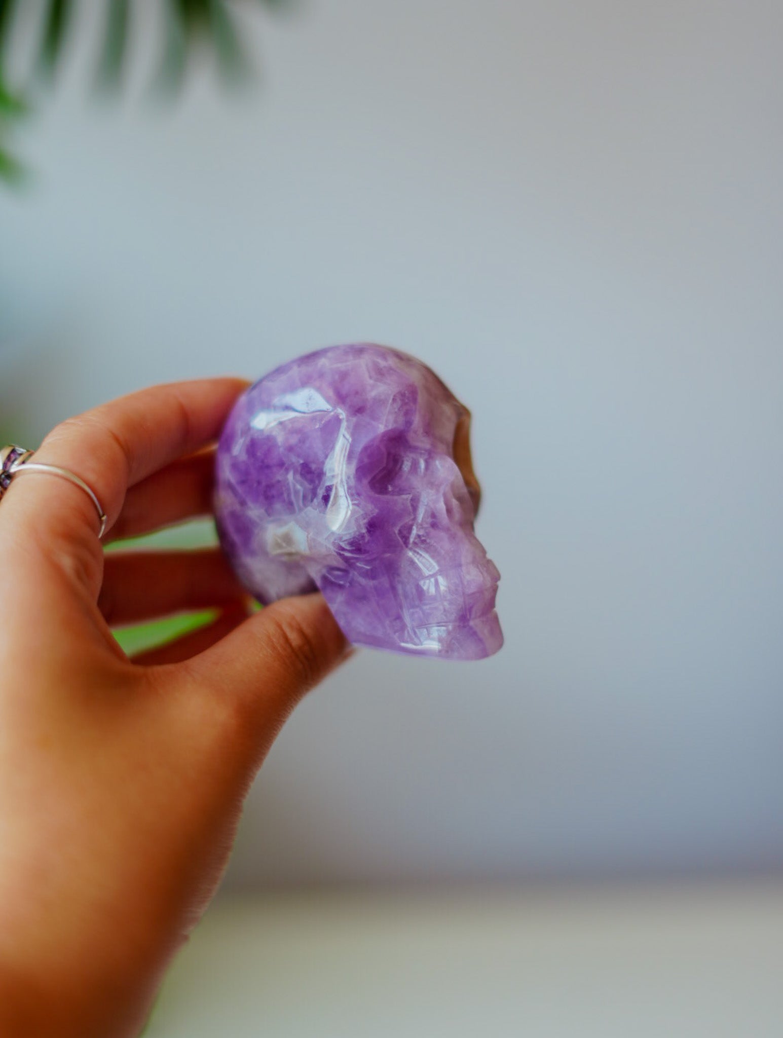 Calavera de Amatista con Ágata | Sabiduría Ancestral y Protección