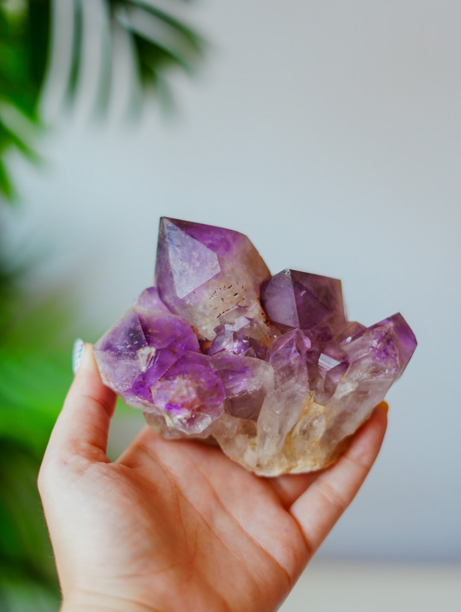 Geoda Natural sin Pulir de Amatista | Belleza Salvaje y Poder
