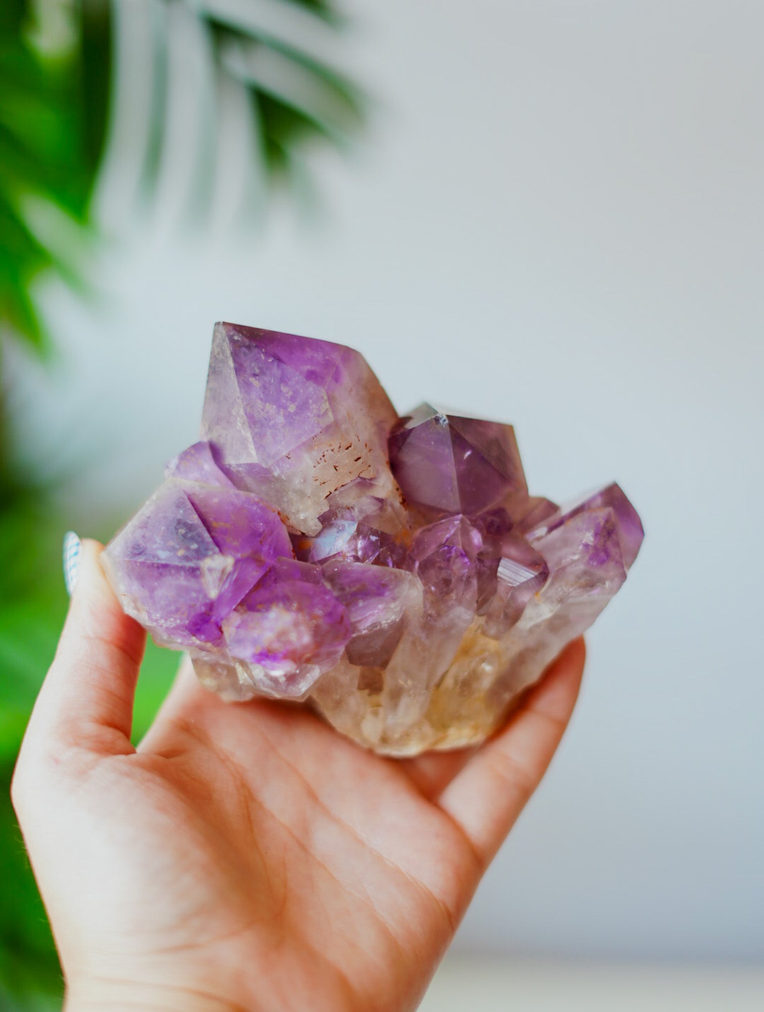 Geoda Natural sin Pulir de Amatista | Belleza Salvaje y Poder