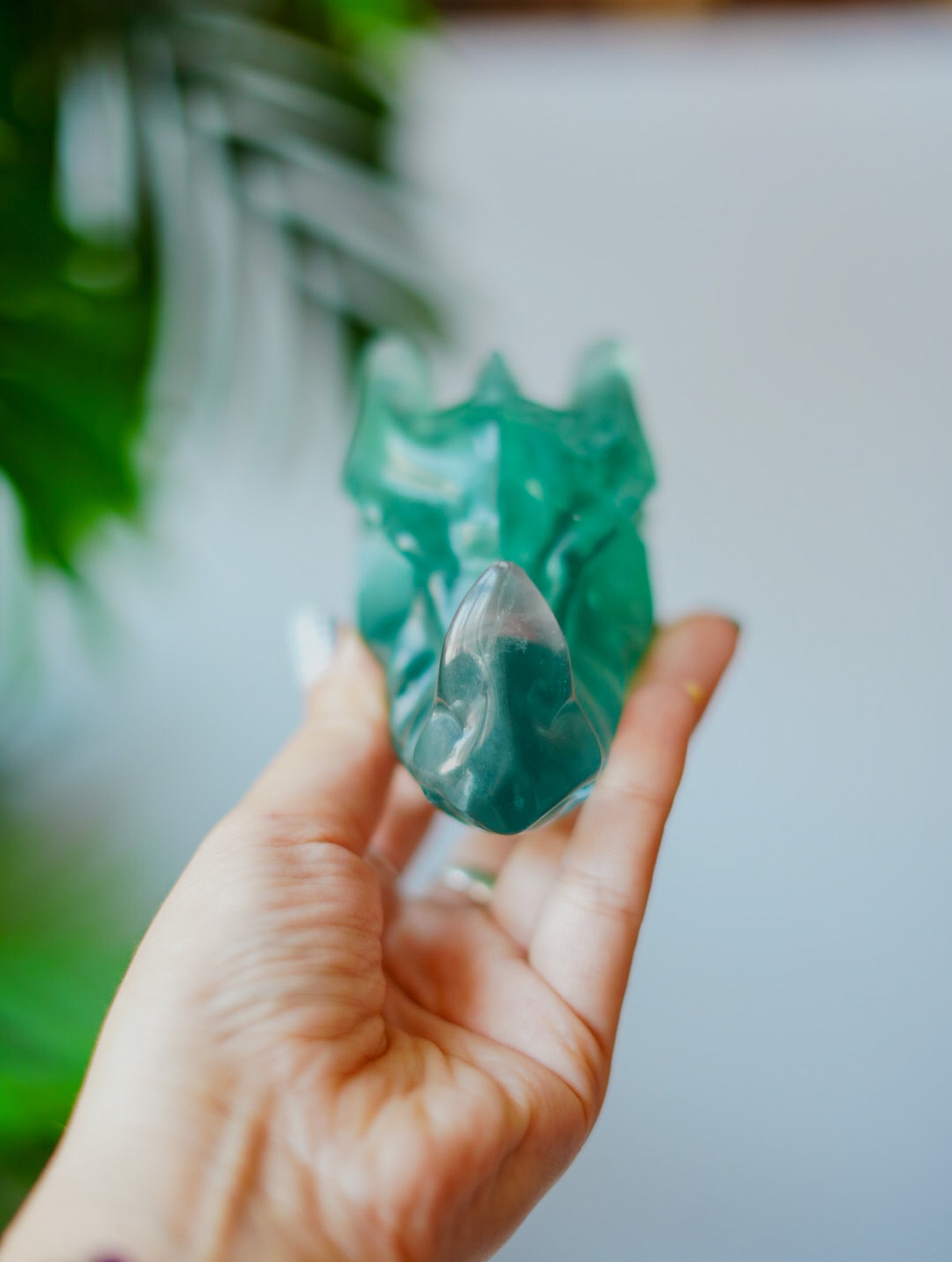 Cabeza de Dragón de Fluorita | Poder, Sabiduría y Magia