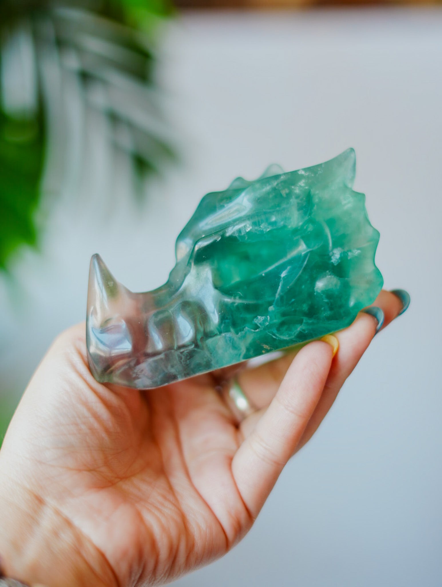 Cabeza de Dragón de Fluorita | Poder, Sabiduría y Magia