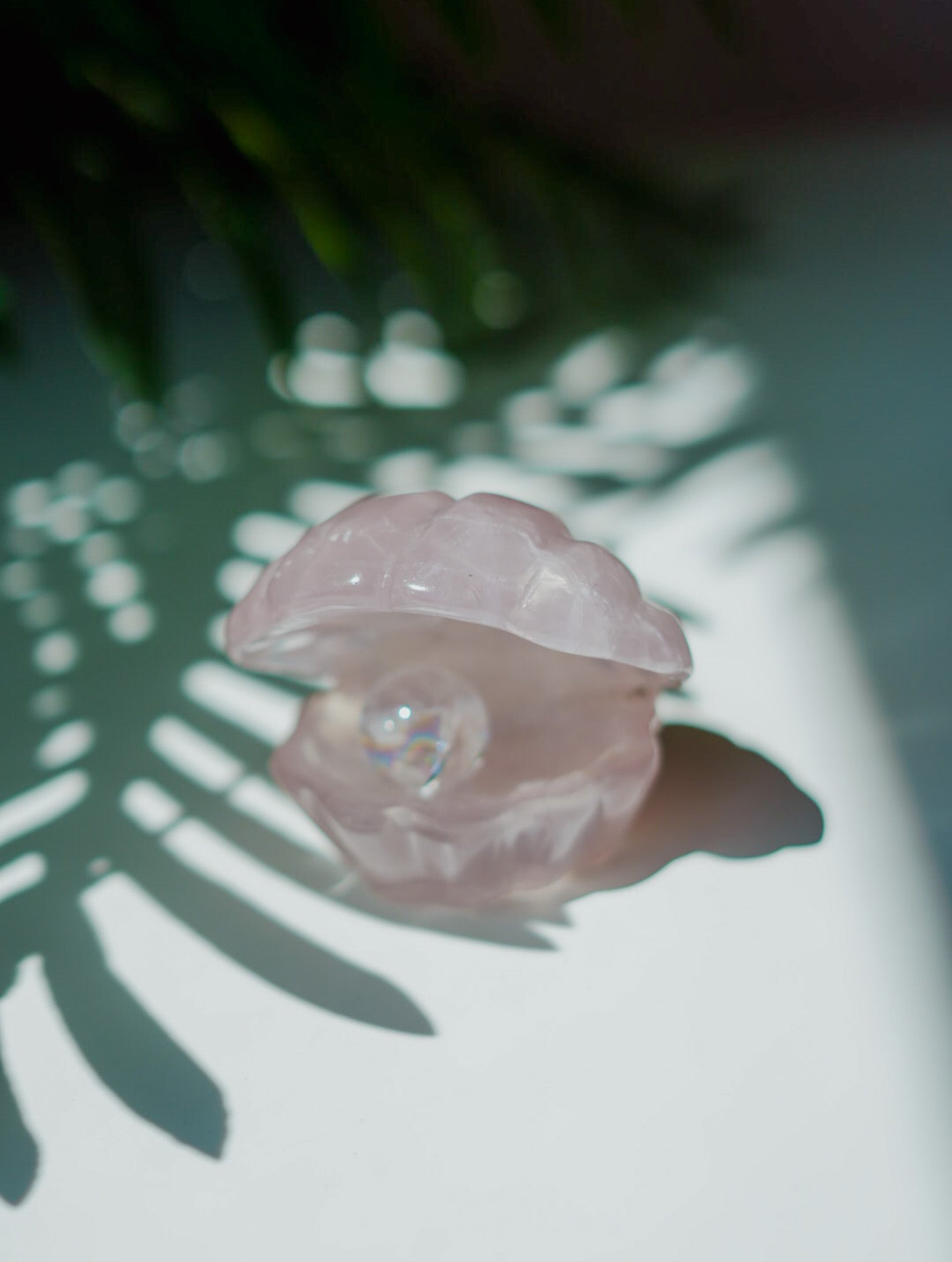 Concha de Cuarzo Rosa con Esfera de Cuarzo Cristal | Amor y Pureza