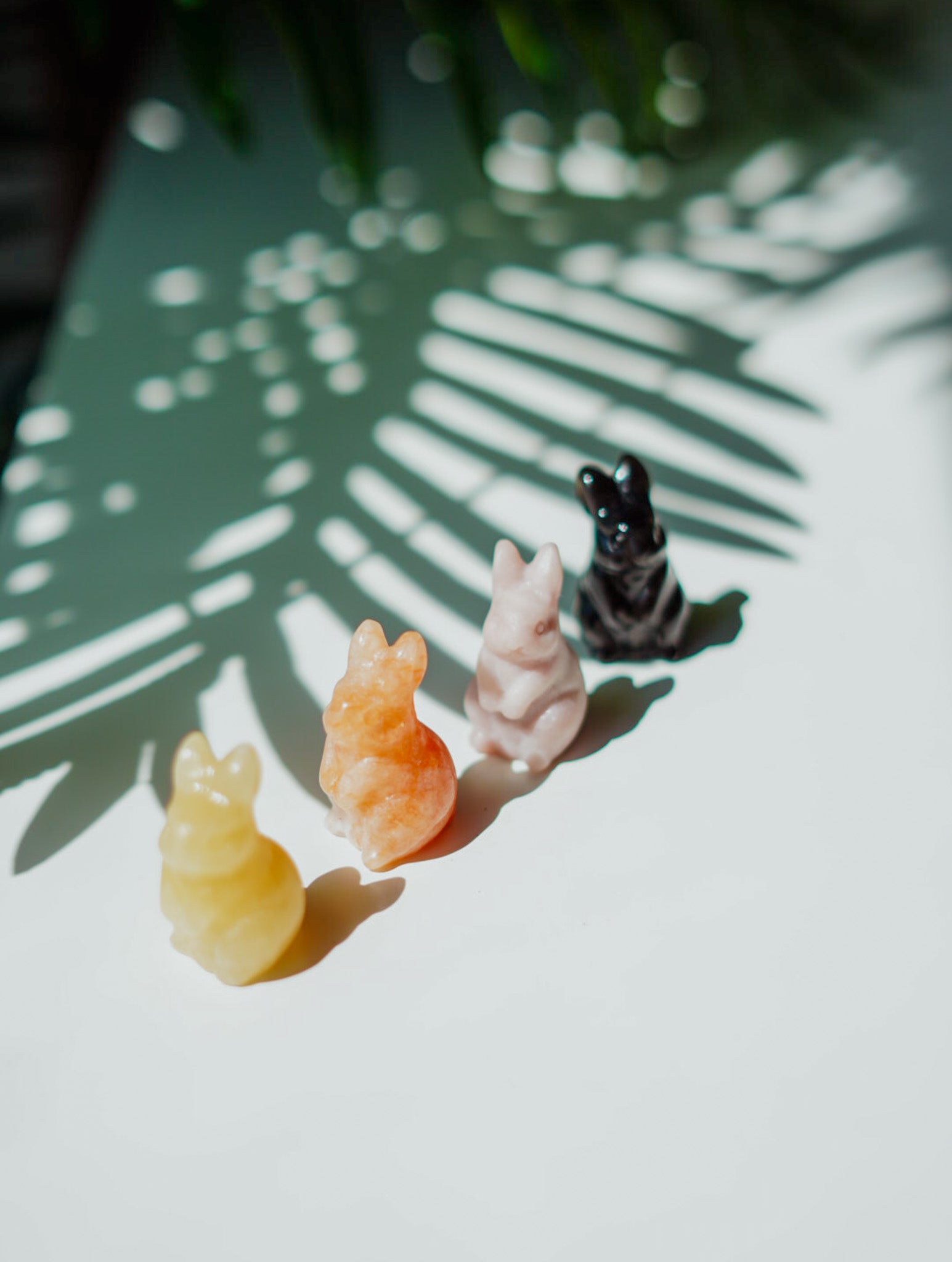 Conejos de Minerales | Calcita Naranja, Cuarzo Fuego, Obsidiana y Ópalo Rosa