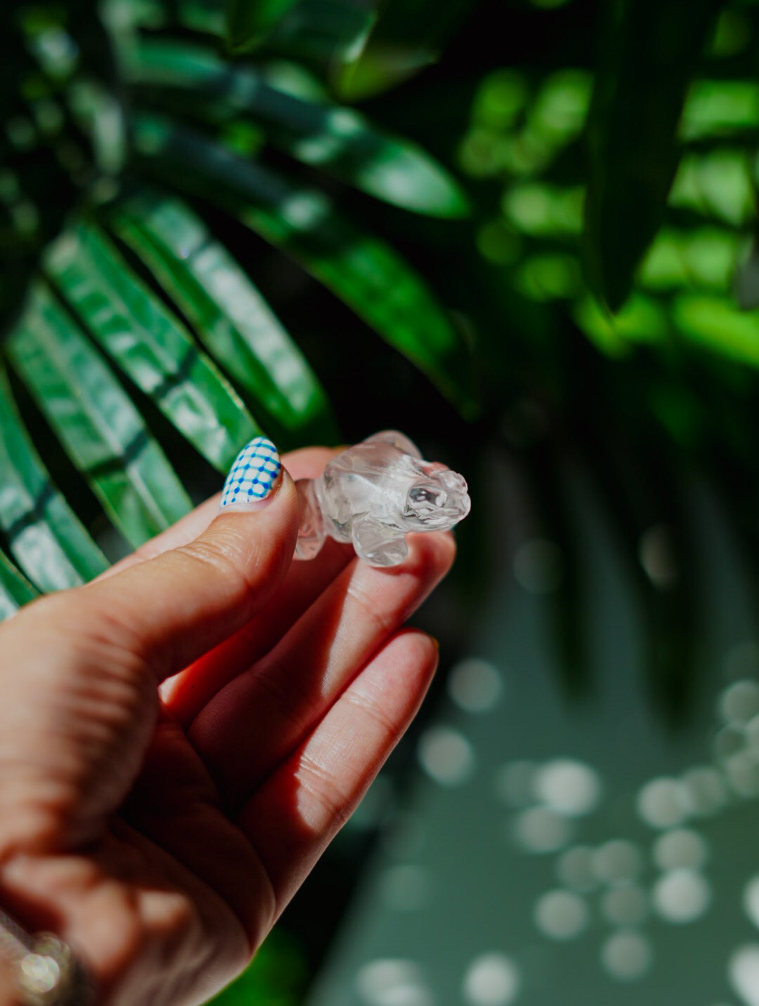 Rana de Cuarzo Cristal | Amplificador de Energía y Buena Suerte