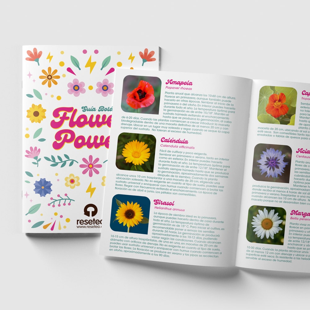 Flower power - kit cultivo