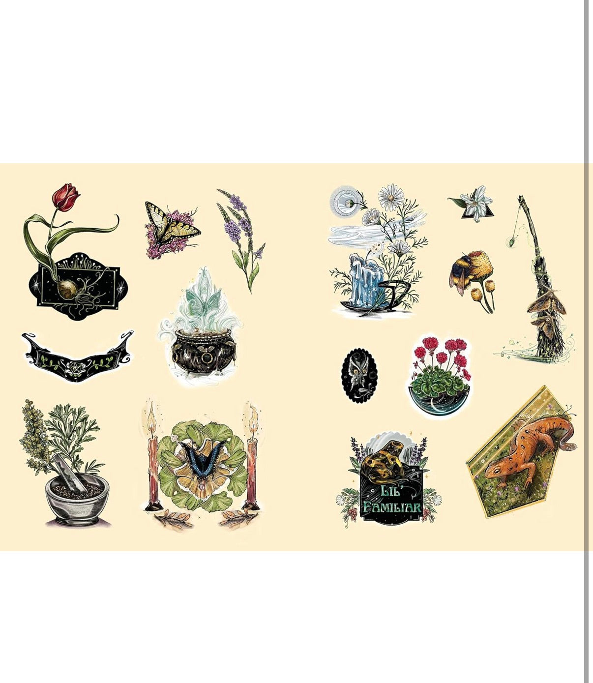 The green witch’s sticker book