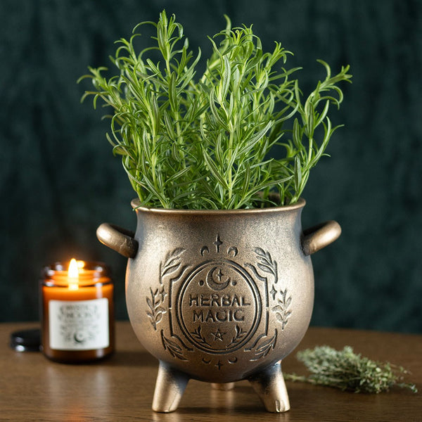 Maceta «Herbal Magic» con efecto bronce, modelo «Caldero de terracota»