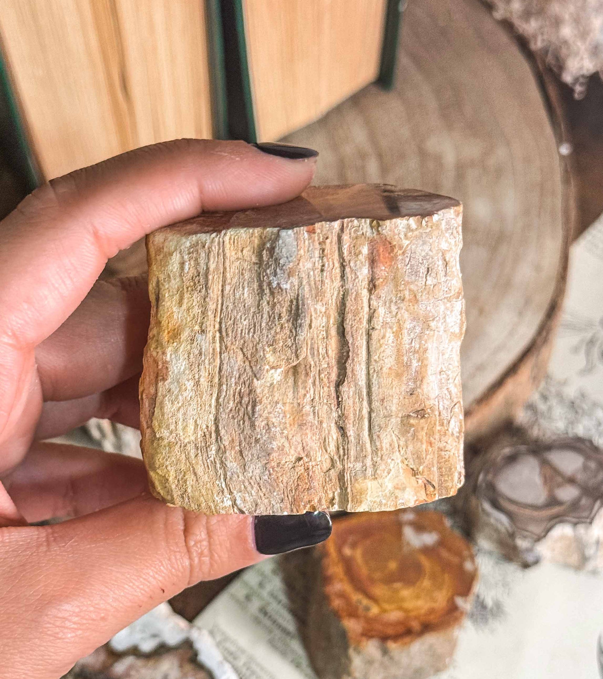 Xilópalo o madera fosilizada