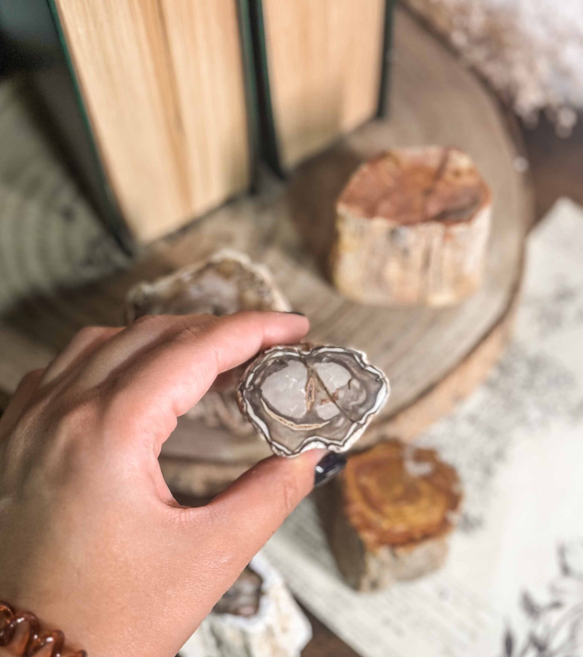 Xilópalo o madera fosilizada