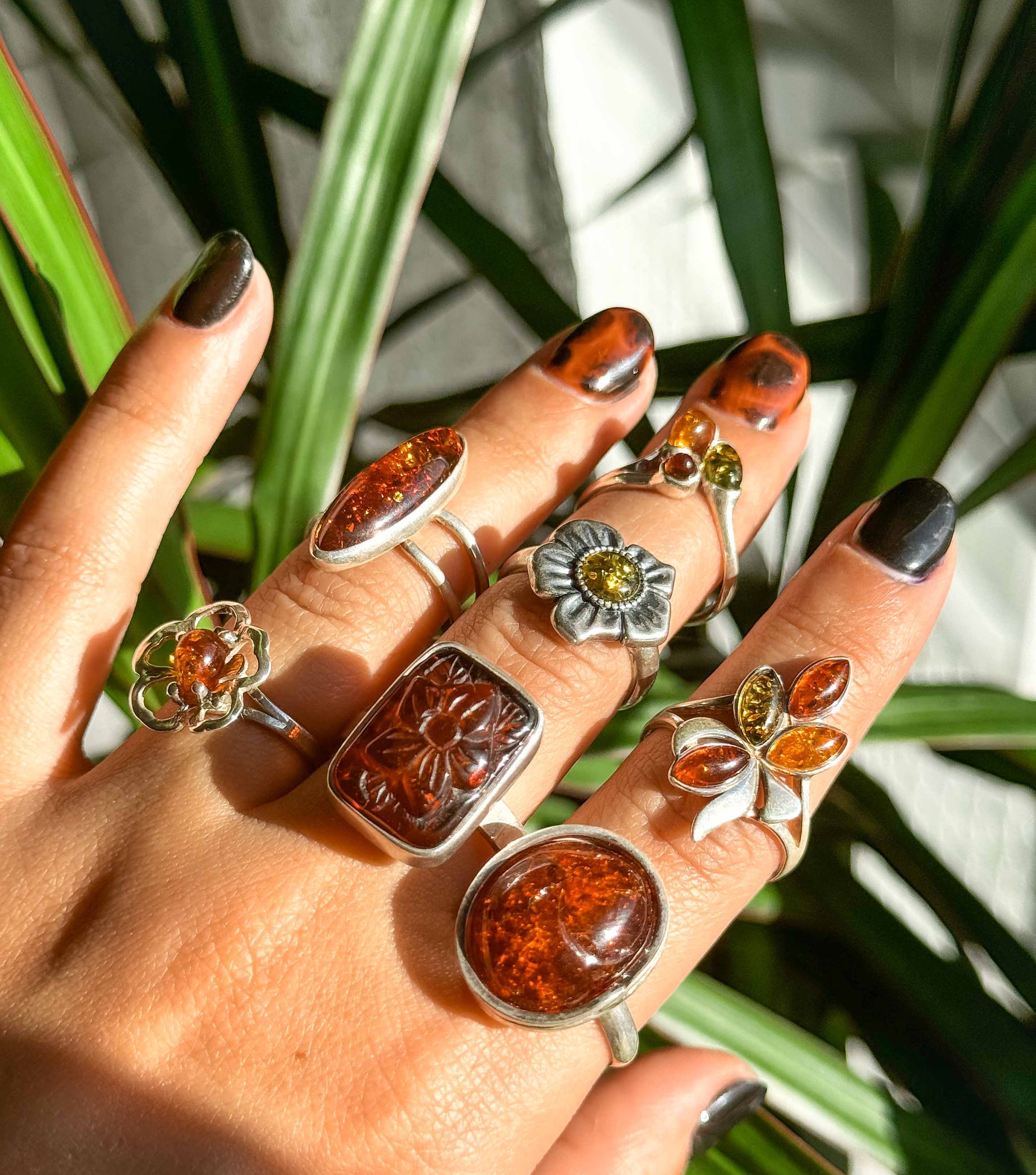 Anillos de ámbar y plata