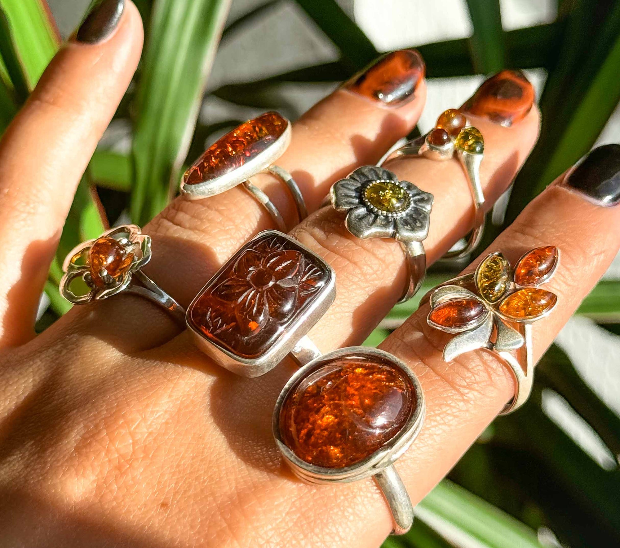 Anillos de ámbar y plata