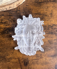 Selenita con forma de medusa
