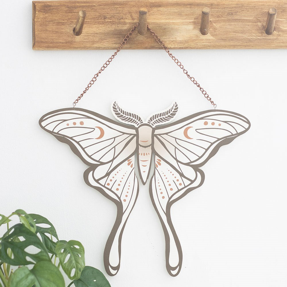 Polilla lunar - decoración de pared