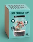 Kit Terrarium