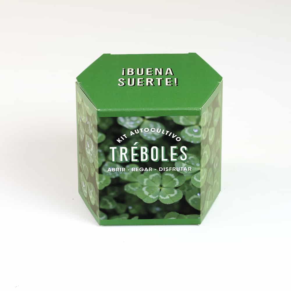 Kit de cultivo de trébol de cuatro hojas Buena suerte