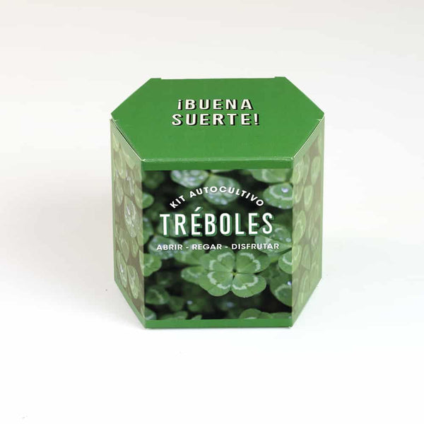 Buena suerte – Kit de cultivo de trébol de cuatro hojas
