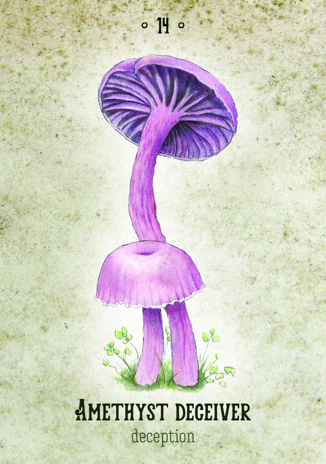 Oráculo Mushroom Spirit