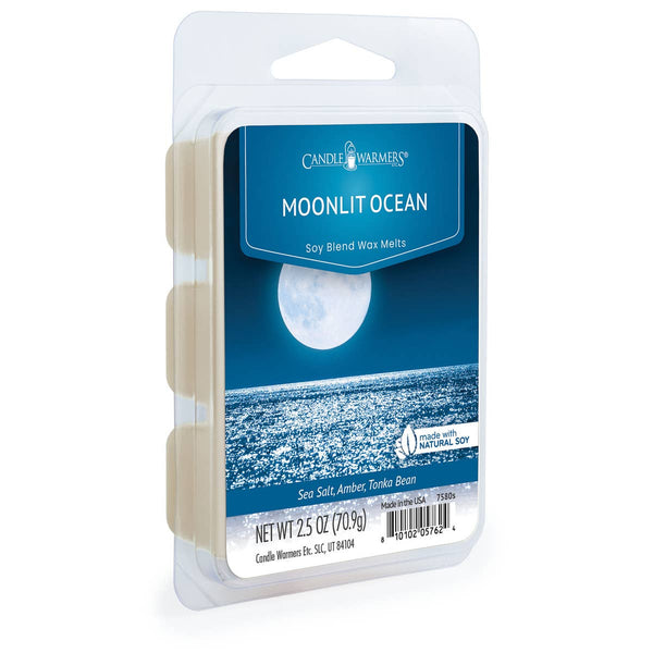 Cera aromática Moonlit Ocean 70 g