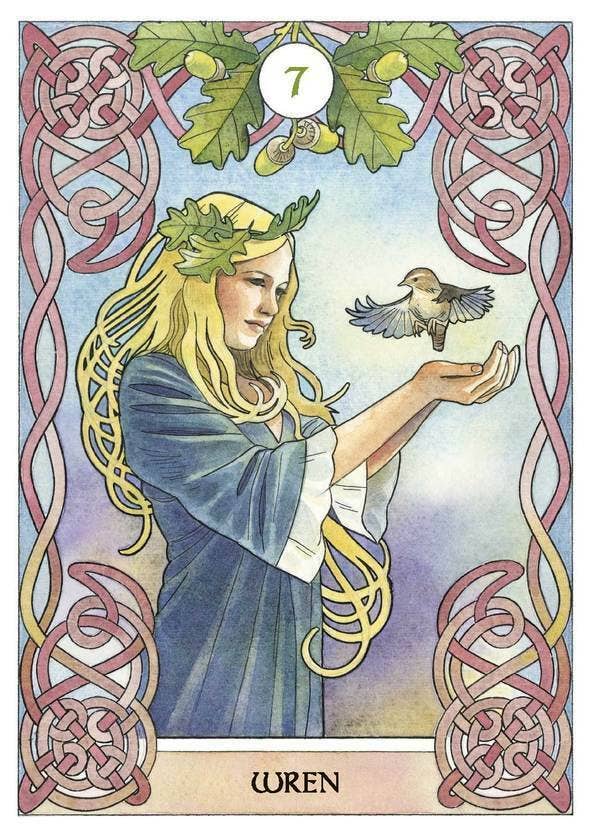 Cartas de oráculo de astrología celta