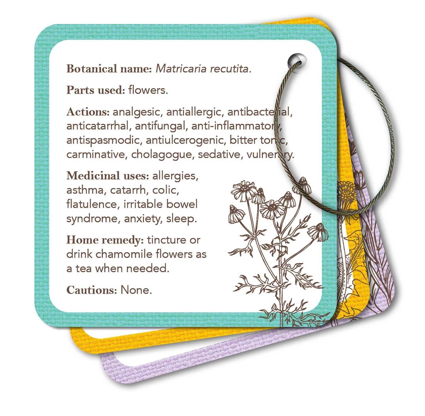 Tarjetas didácticas de boticario