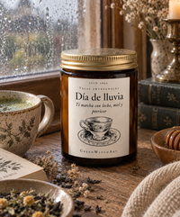Día de lluvia