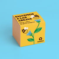 Salvemos a las abejas – Kit de cultivo de flores melíferas