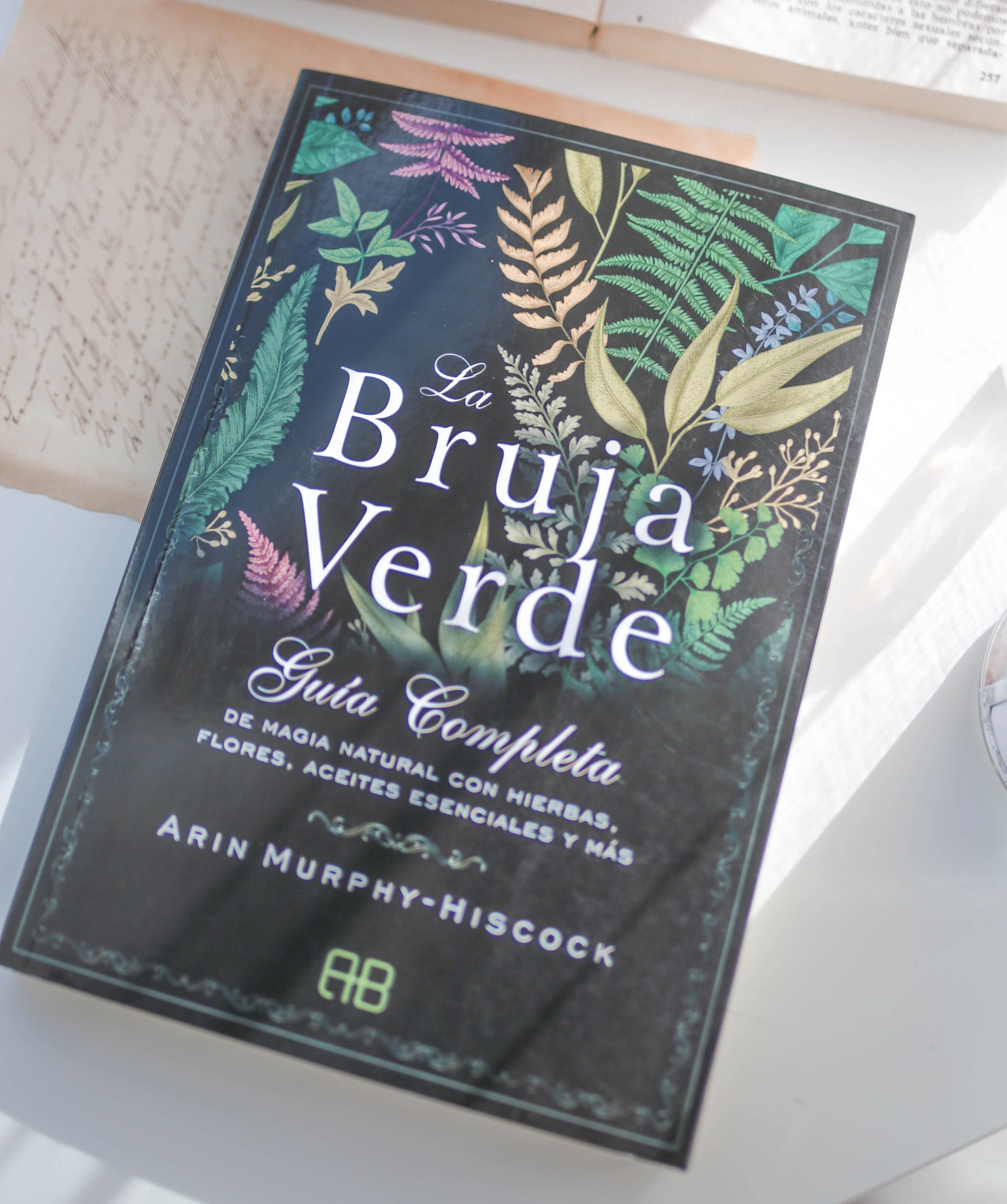 La bruja verde - GreenWitchArt