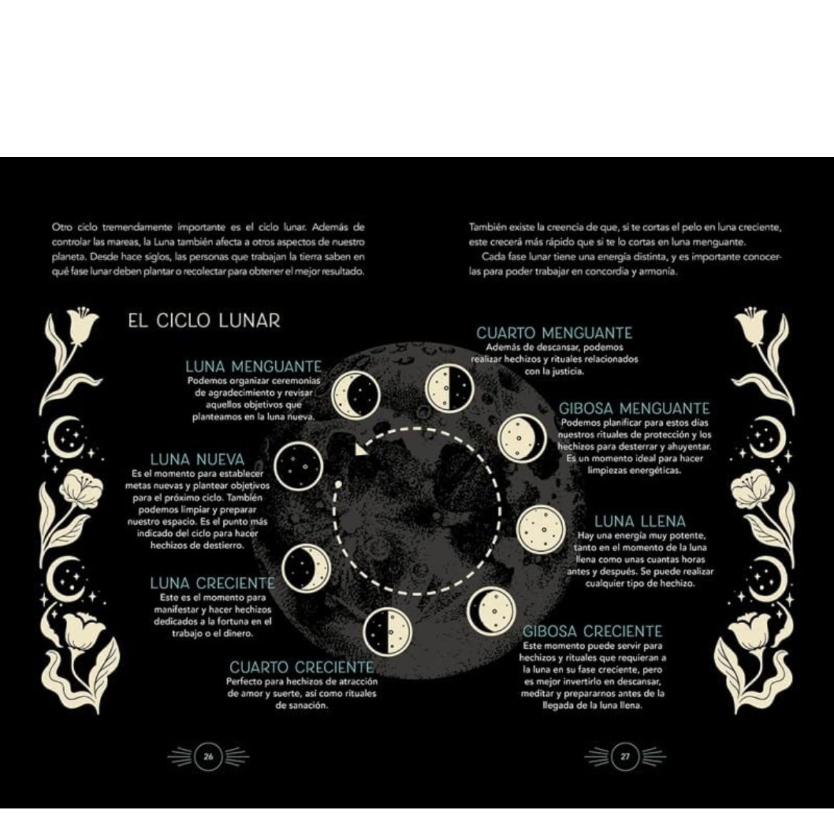 Manual de la bruja novata - @aiguadvalencia - GreenWitchArt