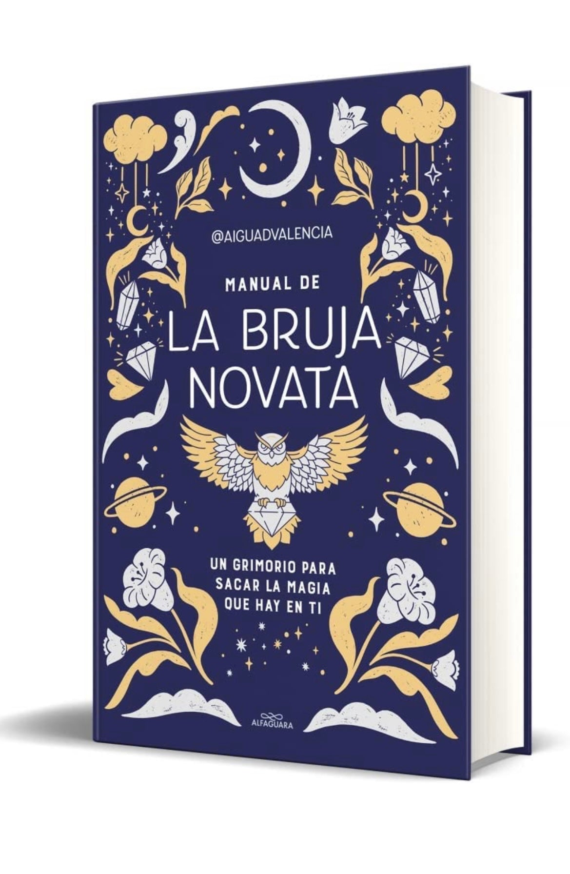 Manual de la bruja novata - @aiguadvalencia - GreenWitchArt