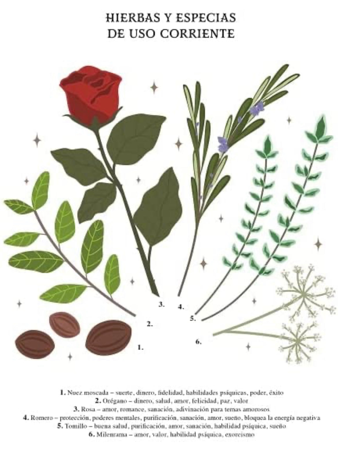 Guía de la bruja del bosque, MAGIA NATURAL ,: Conecte con su mundo interior utilizando ingredientes que podrá encontrar en su cocina o en la naturaleza - GreenWitchArt