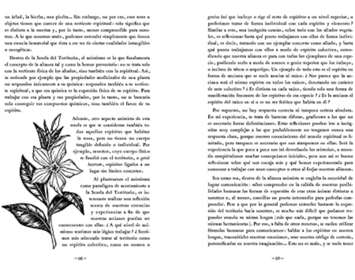 Hacia lo salvaje - Solitude of Alanna - GreenWitchArt